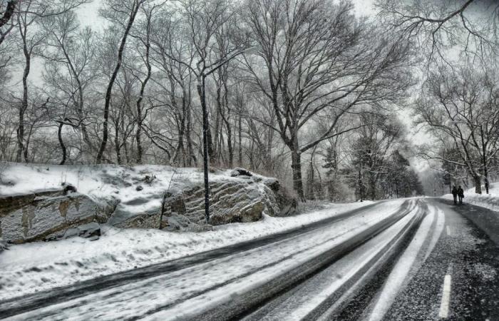 Neige et pluie verglaçante (Grand Est – Moselle) 4 et 5 janvier 2025