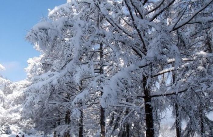 Actualités – Champagne FM – Toute la Champagne-Ardenne en alerte orange à la neige et au verglas