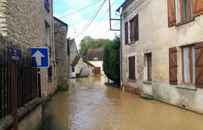 Inondations, un Briard aux Jeux Paralympiques… Ce qui a fait l’actualité en 2024 à La Ferté-Gaucher