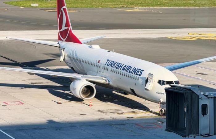 Alerte aux punaises de lit sur les vols Turkish Airlines