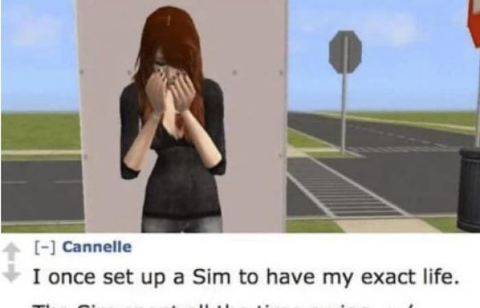 18 situations que tous les accros des « Sims » connaissent