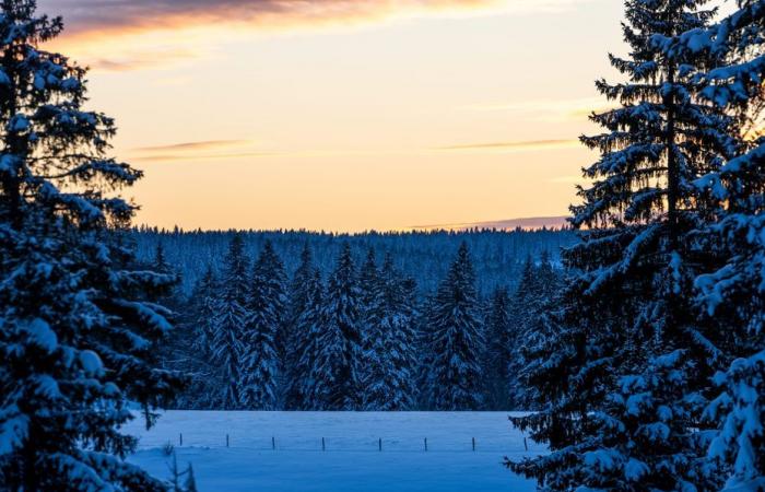 le mercure a atteint -31,1°C à la frontière suisse et égale presque un record de 2013