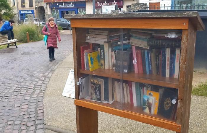 “Je ne me verrais pas jeter des livres, il faut les faire tourner”, deux amoureux des boîtes à livres expliquent leur démarche