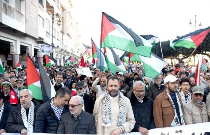 115 manifestations en une soirée contre les atrocités israéliennes à Gaza