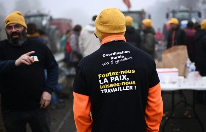 les autorités interdisent “tout rassemblement non déclaré” dans le centre de Paris et Rungis ce dimanche