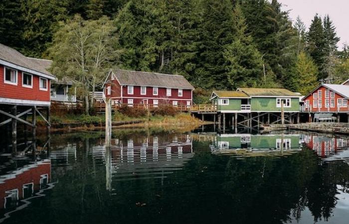 Telegraph Cove pleure la destruction de son centre d’interprétation des baleines