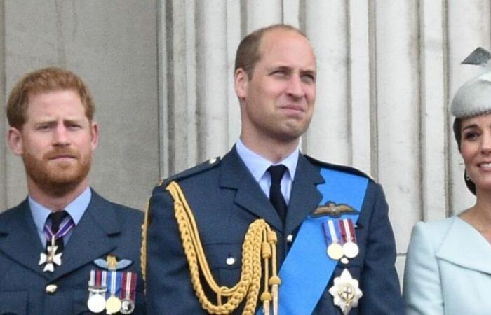 Les princes William et Harry en deuil, un proche de la famille royale est décédé dans des circonstances tragiques à l’âge de 31 ans