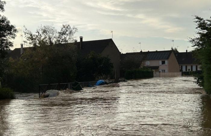 Inondations, un Briard aux Jeux Paralympiques… Ce qui a fait l’actualité en 2024 à La Ferté-Gaucher