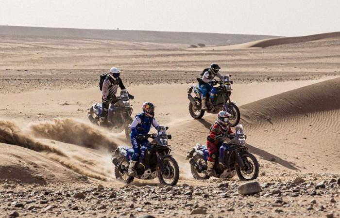 Le Rallye « Africa Eco Race » fait escale à Tarfaya