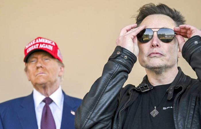 Elon Musk, X et Donald Trump