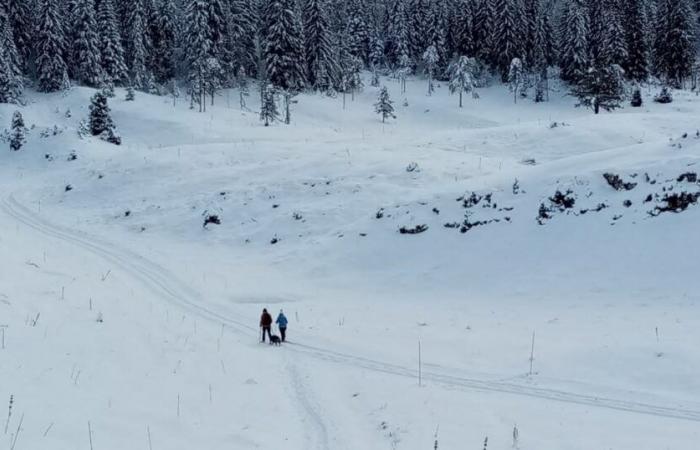 Météorologie. Sur le réseau social X, le Jura prend des airs de Sibérie