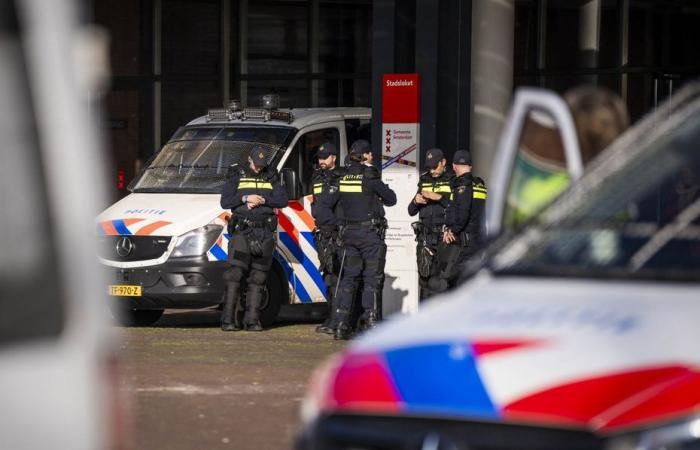 Activement recherché, un homme a été arrêté à Amsterdam après le meurtre de Barbara, une jeune femme avignonnaise battue et étranglée