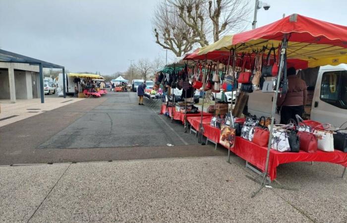 Montceau – Le marché du samedi victime d’une vague de froid, ça marche moins bien, explications