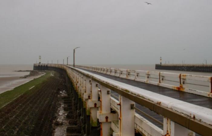 Beaucoup de pluie avec des températures modérées