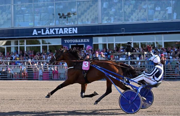 Ceux formés en France ayant marqué le trot international en 2024