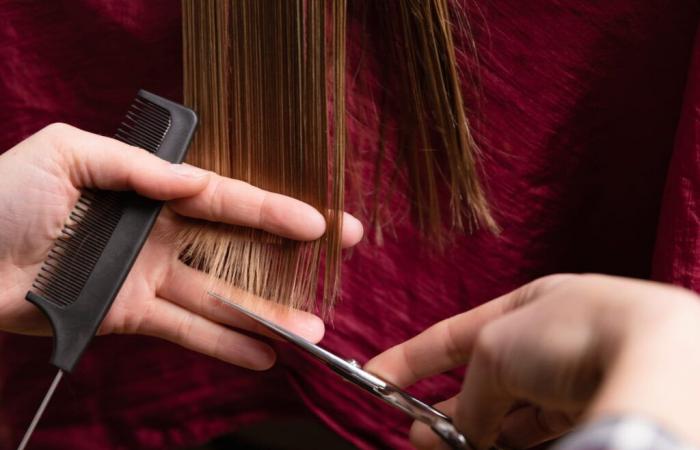 un coiffeur recommande la coupe de cheveux qui convient à tout le monde