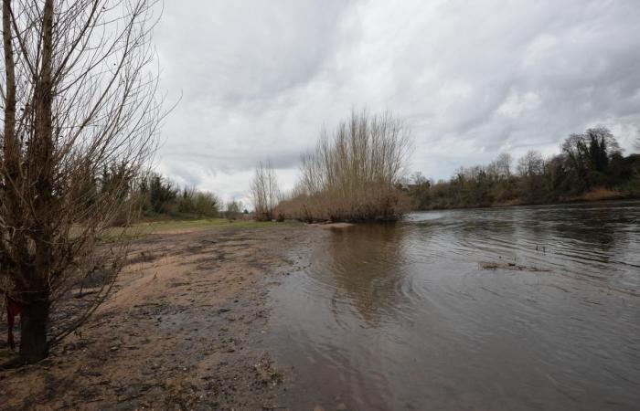 17 hectares, 200 emplacements… Voilà à quoi ressemblerait le camping haut de gamme de Bergerac