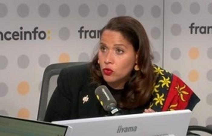 “Il n’y a pas 70% des foyers qui ont l’électricité à Mayotte, c’est faux”, réagit Estelle Youssuffa