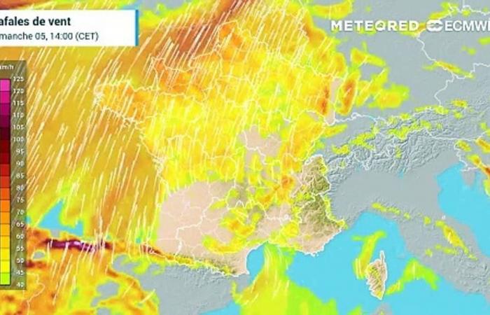 nos cartes confirment les violentes rafales de vent ! Quelles régions sont concernées ?