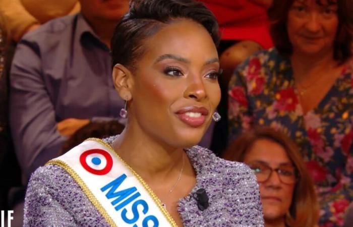 Angélique Angarni-Filopon, Miss France 2025, victim of cyberharassment