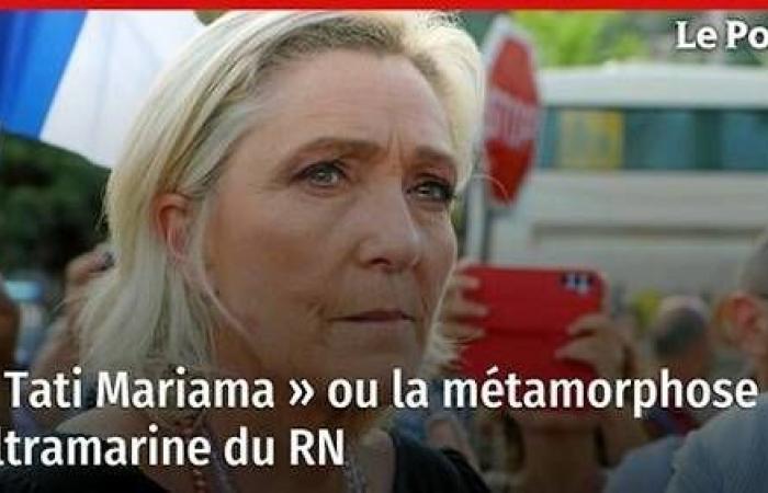 « Tati Mariama » ou la métamorphose outremer du RN