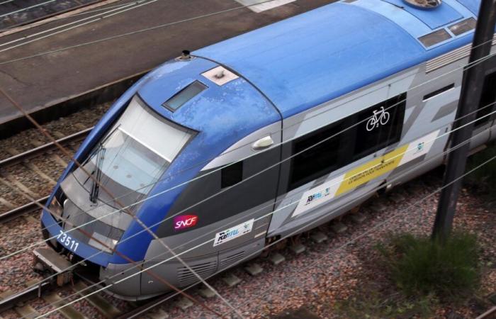 trains annulés à cause de la tempête Floriane