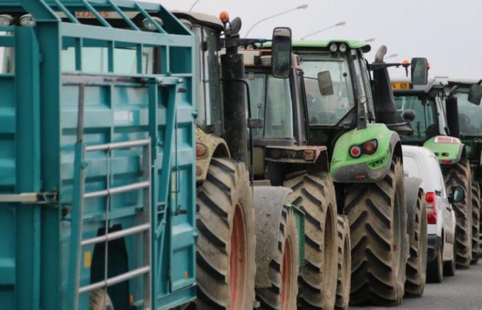 Les agriculteurs du Rhône mobilisent leurs tracteurs pour bloquer Lyon ce lundi