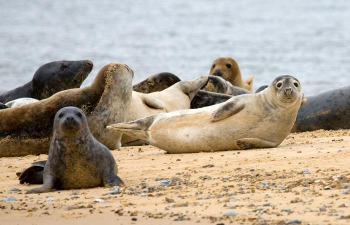 10 lieux insolites au Royaume-Uni à explorer pour vos randonnées cet hiver