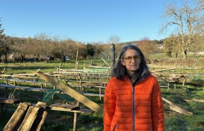 la ferme d’escargots à reconstruire