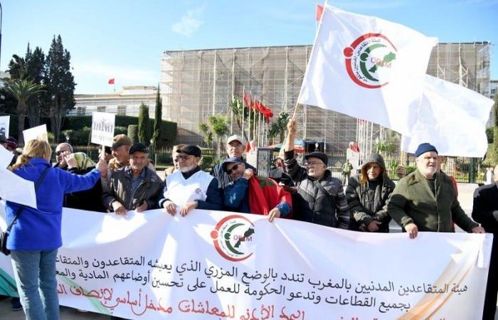 Les retraités manifestent devant le Parlement pour une augmentation de leurs retraites et de leurs droits sociaux