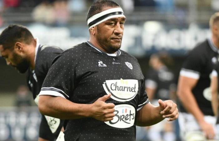 A Vannes, le bon air de la Bretagne pour Mako Vunipola