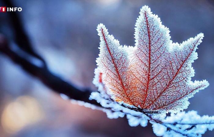 moins de gel, moins de neige… l’hiver est-il voué à disparaître en France ?