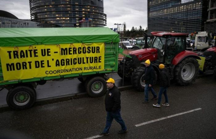 quatre questions sur la mobilisation annoncée de la Coordination rurale à Paris