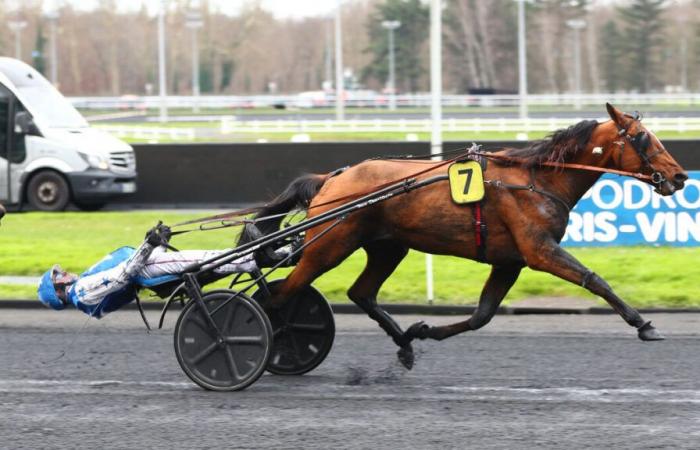 PMU – Arrivée du quinté dimanche 5 janvier à Vincennes : Jack Tonic assure