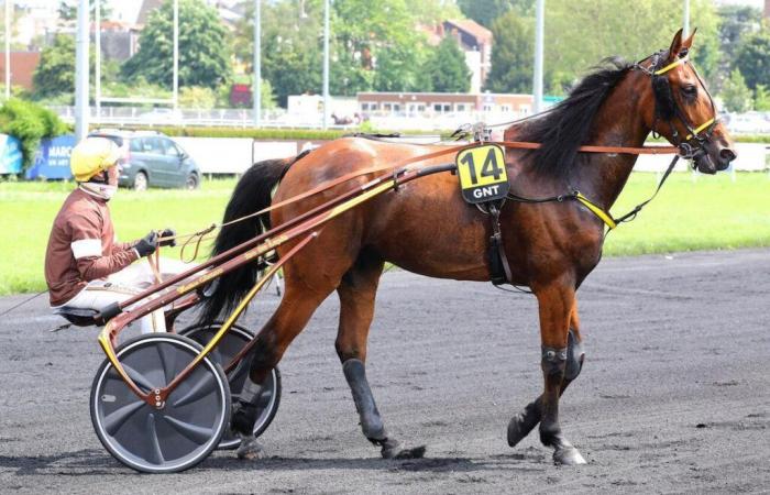 Agenda de la semaine (6 au 12 janvier) : dernière chance pour l’Amérique dans le Belgian Prix – America Races Q6, le très attendu Prix de Croix cette semaine et une belle course à Cagnes/Mer