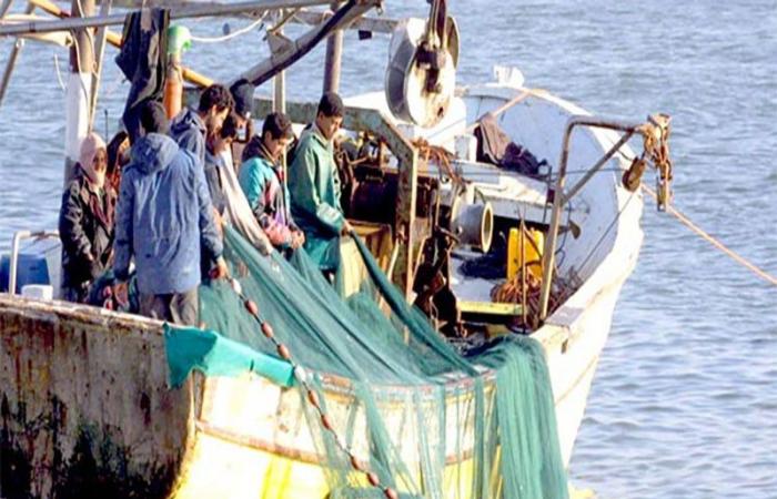 Baisse de 22% des débarquements de pêche au port de M’diq