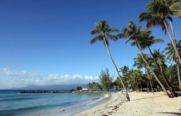 Les plages de cartes postales sont-elles vouées à disparaître en Guadeloupe ?