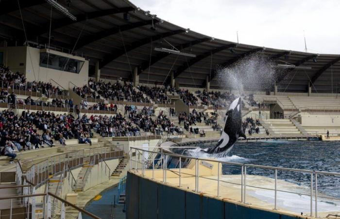 Marineland d’Antibes ferme ses portes