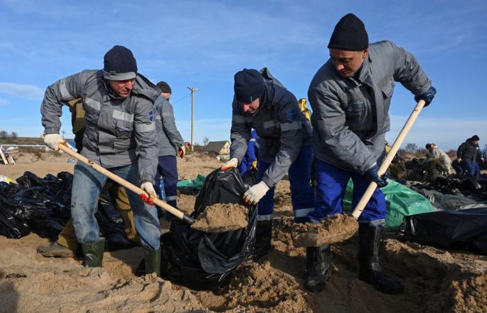 Marée noire en Russie | Plus de 30 cétacés retrouvés morts en mer Noire