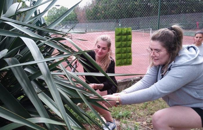 Inhabituel. Ce club de tennis tarnais a remporté une Coupe de France, mais hors des courts