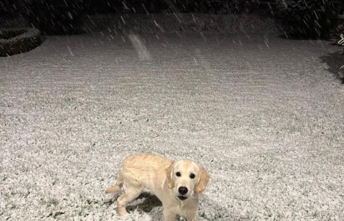 Météo au Royaume-Uni : de fortes chutes de neige frappent une grande partie du Royaume-Uni alors que des milliers de personnes se retrouvent sans électricité – avec des avertissements prolongés jusqu’à lundi