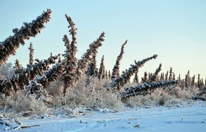 Le pergélisol arctique est en train de fondre. Voici ce que cela signifie pour le Nord canadien – et pour le reste du monde