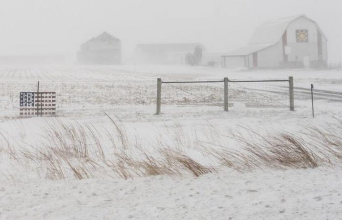 Une violente tempête de neige frappe l’est des États-Unis