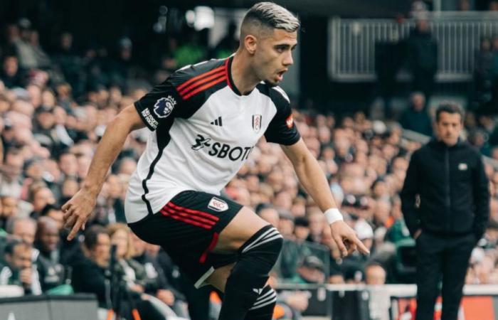 Pronostic pour Fulham contre Ipswich Town en Premier League, dimanche (5/1) 2025