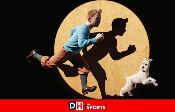 Non, Tintin n’est pas encore entré dans le domaine public