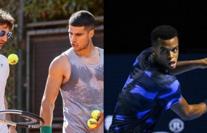 Tennis. Open d’Australie – Carlos Alcaraz frappera lundi avec… Giovanni Mpetshi !