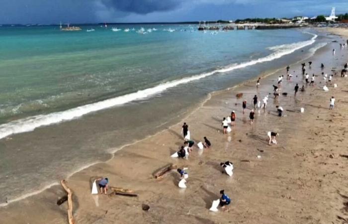 Des bénévoles nettoient la plage de Kedonganan à Bali de la pollution plastique provoquée par la mousson