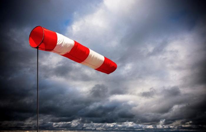 Bulletin météo. L’Indre-et-Loire en alerte vents violents avec des rafales jusqu’à 110 km/h : trains annulés