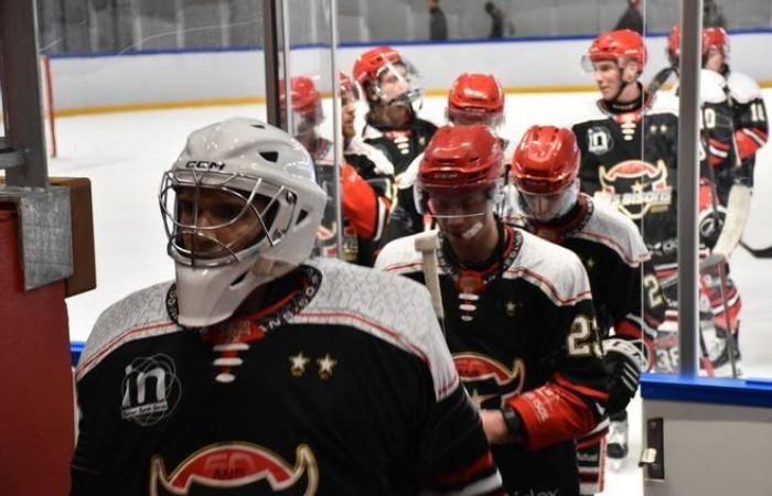 En images : revivez le match de hockey sur glace entre Neuilly-sur-Marne et Dunkerque, joué à la patinoire de Dreux