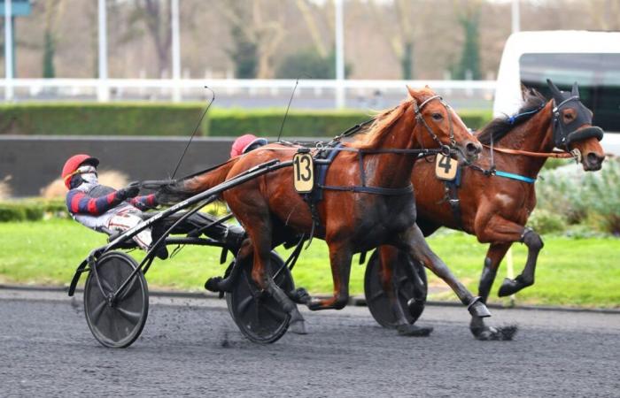 Melba du Gers nage avec le capitaine Bazire